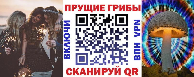 Купить закладки  Арсеньев  Галлюциногенные грибы Cubensis 